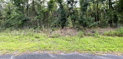 Land in Levy County, Florida