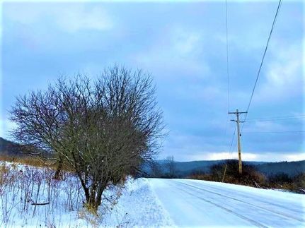 Timberland Property in Allegany County, New York