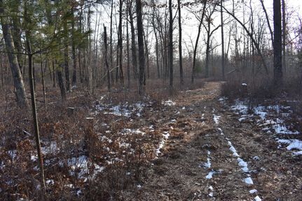 Farm and Ranch in Oconto County, Wisconsin