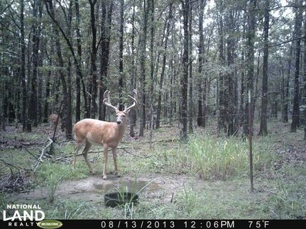 Undeveloped Land in Mayes County, Oklahoma