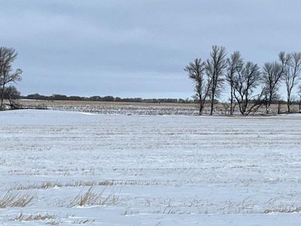 Farm and Ranch in Ward County, North Dakota