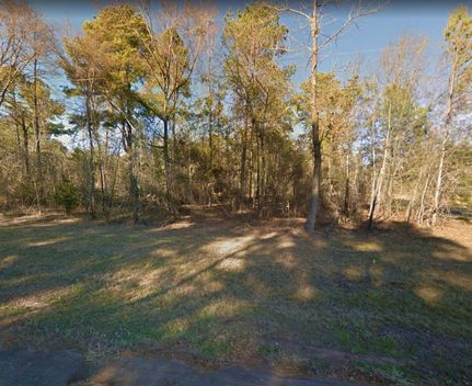 Undeveloped Land in Upshur County, Texas