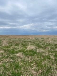 Land in Palo Alto County, Iowa