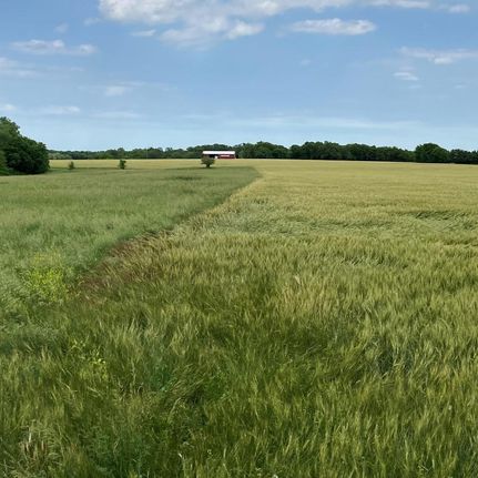 Land in Marion County, Kansas