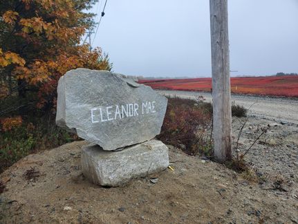 Undeveloped Land in Washington County, Maine