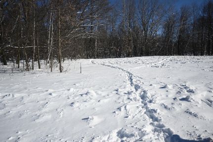 Farm and Ranch in Polk County, Wisconsin