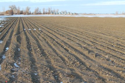 Farm and Ranch in Richland County, Montana