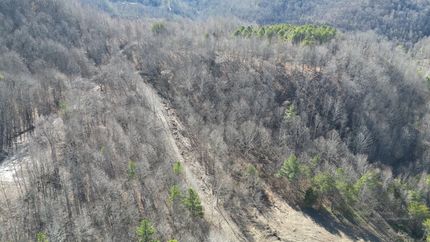 Timberland Property in Perry County, Kentucky