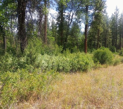 Undeveloped Land in Shasta County, California