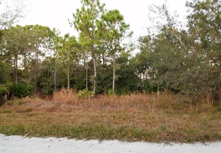 Undeveloped Land in Charlotte County, Florida