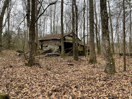 Farm and Ranch in Coosa County, Alabama