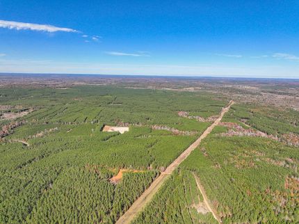 Timberland Property in Nacogdoches County, Texas