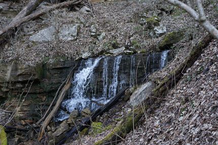 Undeveloped Land in Marion County, Tennessee