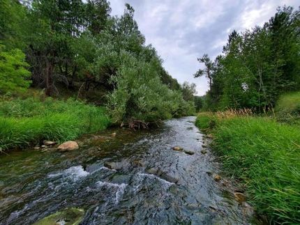 Undeveloped Land in Lawrence County, South Dakota