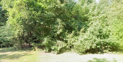 Undeveloped Land in Sumter County, South Carolina