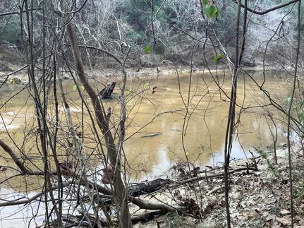 Riverfront Property in Covington County, Alabama