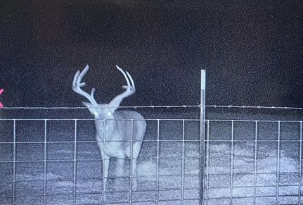 Farm and Ranch in Edwards County, Texas