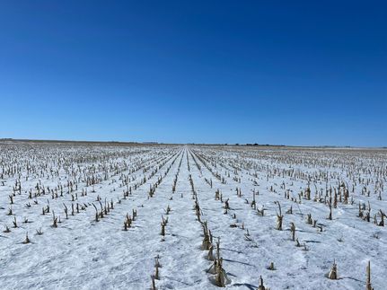 Farm and Ranch in Phillips County, Colorado