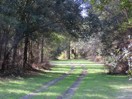 Hunting Property in Alachua County, Florida