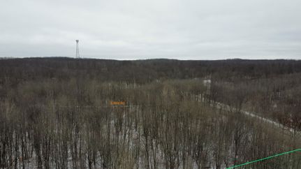 Timberland Property in Osceola County, Michigan
