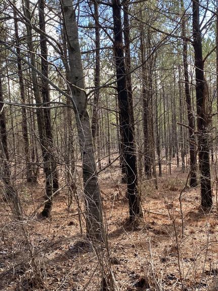 Land for sale in Cumberland County, Tennessee