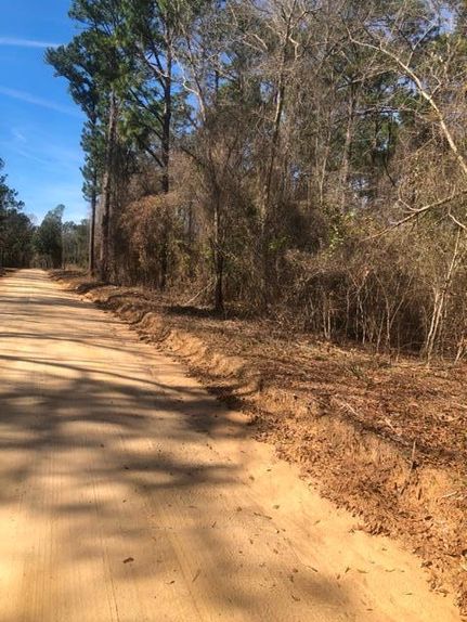 Land in Evans County, Georgia