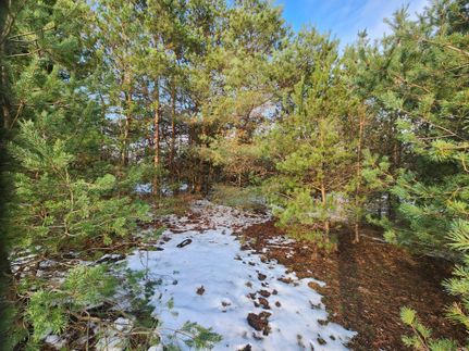 Land in Manistee County, Michigan