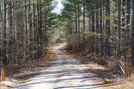 Undeveloped Land in Benton County, Tennessee