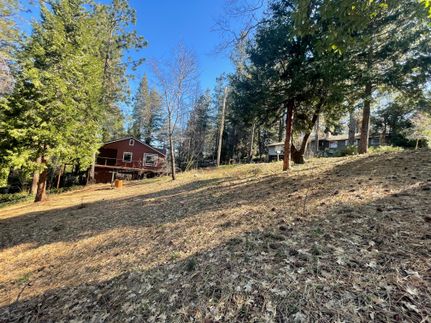 Timberland Property in Nevada County, California