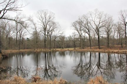 Timberland Property in Adams County, Mississippi