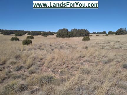 Farm and Ranch in Apache County, Arizona