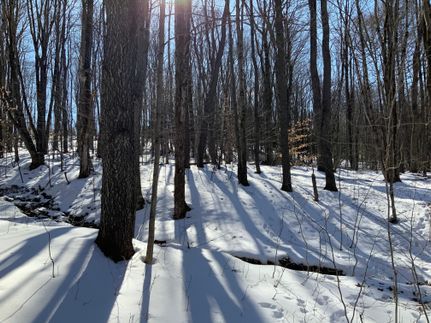 Undeveloped Land in Cortland County, New York
