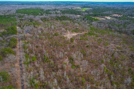 Timberland Property in Wood County, Texas