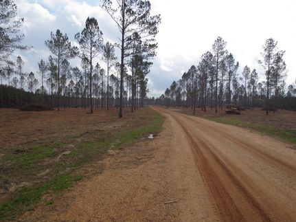 Timberland Property in Walthall County, Mississippi