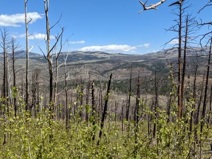 Undeveloped Land in Costilla County, Colorado