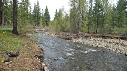 Timberland Property in Lassen County, California