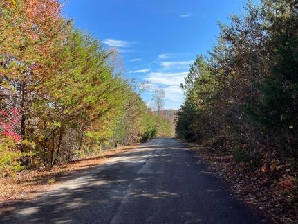 Undeveloped Land in Stephens County, Georgia