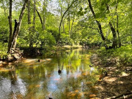 Land in Van Buren County, Tennessee