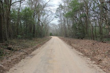 Farm and Ranch in Orangeburg County, South Carolina