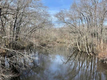 Undeveloped Land in Orangeburg County, South Carolina