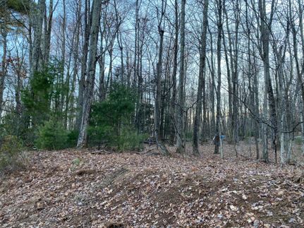 Undeveloped Land in Sullivan County, New York