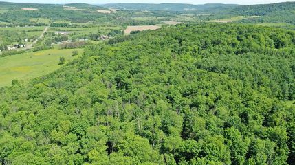 Undeveloped Land in Fulton County, New York