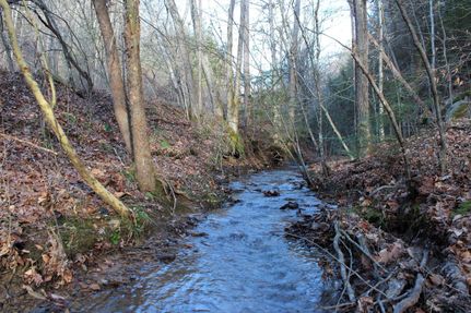 Timberland Property in Morgan County, Kentucky
