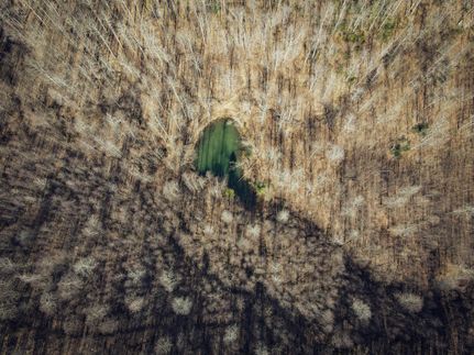 Timberland Property in Preston County, West Virginia