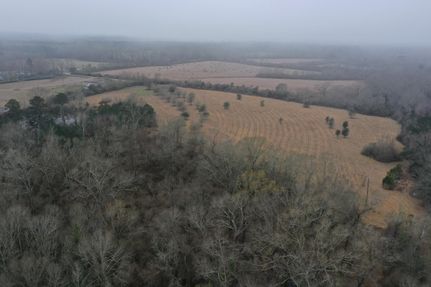 Timberland Property in Tangipahoa Parish, Louisiana
