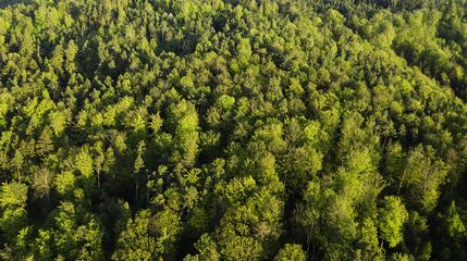 Recreational Property in Carbon County, Pennsylvania