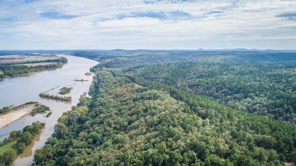 Undeveloped Land in Perry County, Arkansas