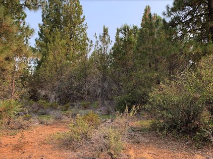 Homesite in Klamath County, Oregon