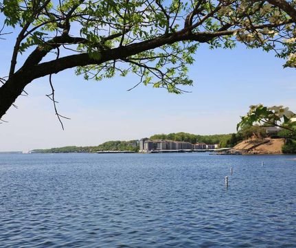 Undeveloped Land in Benton County, Missouri