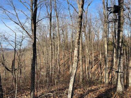 Recreational Property in Jackson County, Alabama